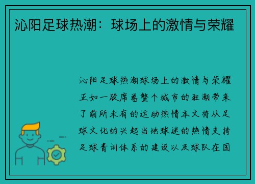 沁阳足球热潮：球场上的激情与荣耀