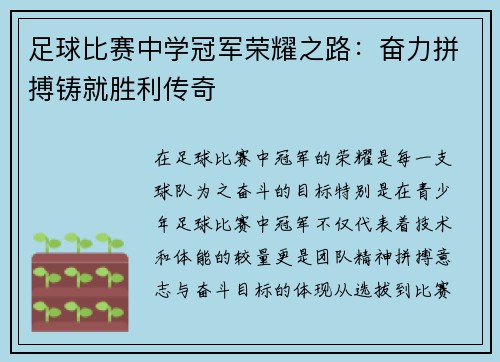 足球比赛中学冠军荣耀之路：奋力拼搏铸就胜利传奇